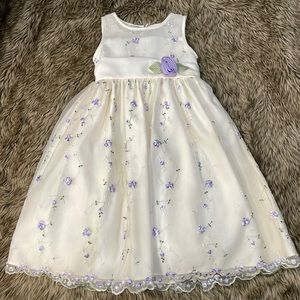 Beautiful Cinderella Dress